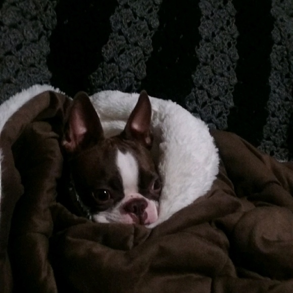 Meet your Posher, Jennifer - Picture 1 of 1